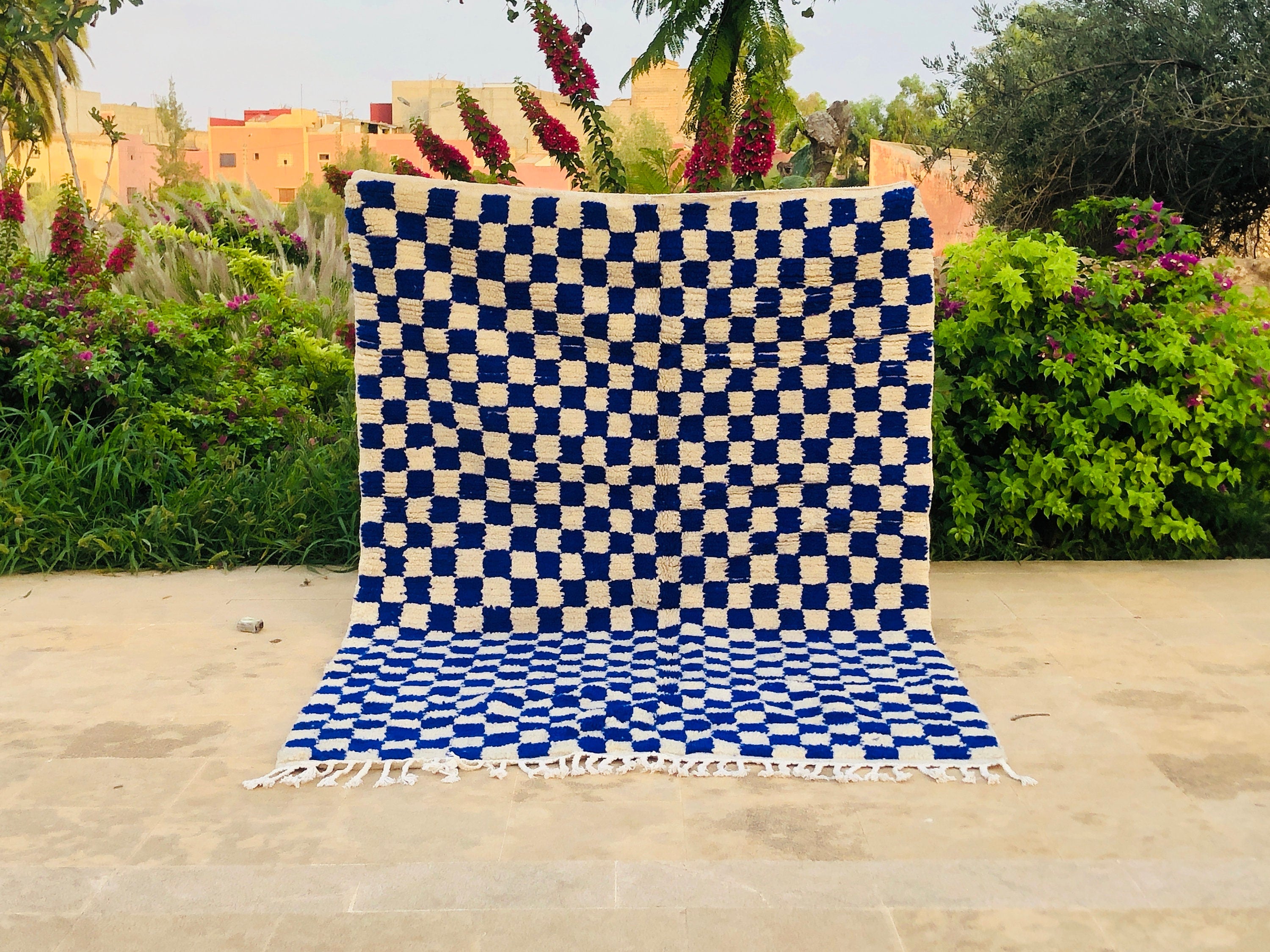 Modern 8x10 Blue & White Moroccan